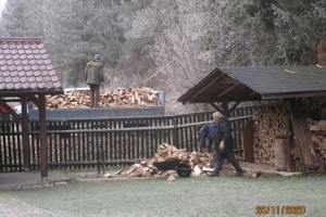 príprava dreva horáreň meštrová - november 2020.jpg